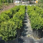 WhatsApp Image 2025-08-05 at 13.01.23 (1)