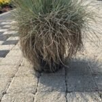 burfip bursa fidan peyzaj bahçe sulama sistemi