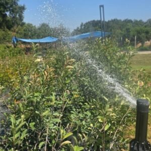 Otomatik sulama sistemi